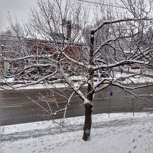 Meet your Posher, Tamara